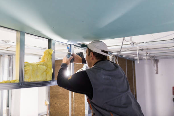 Best Fiberglass Insulation in Mi Wuk Village, CA